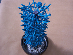 Galería de imágenes