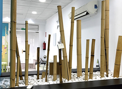 Galería de imágenes