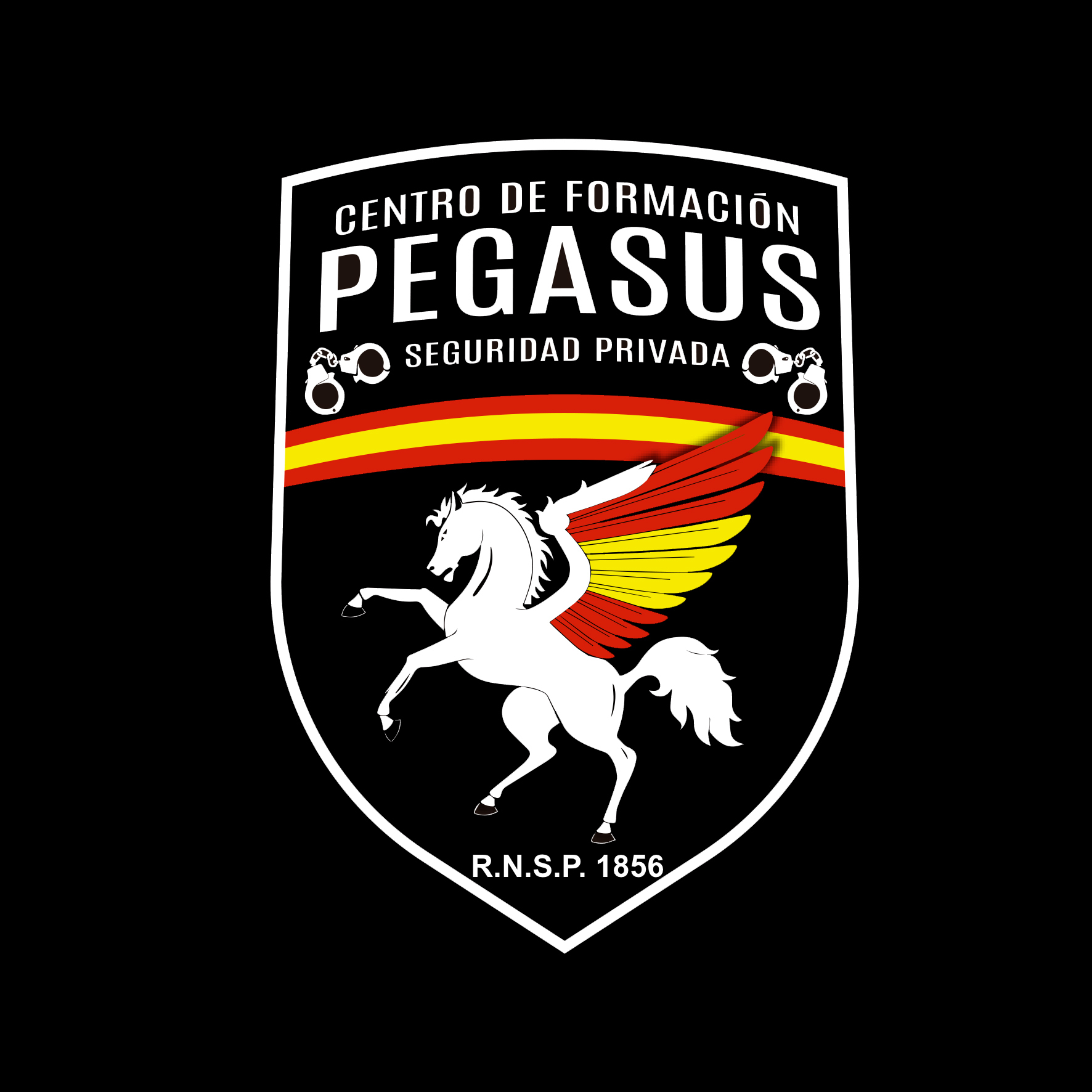 Academia Pegasus Formación