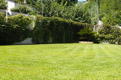 Arrela´t Servicios De Jardinería 4 Arrela´t Servicios De Jardinería 4