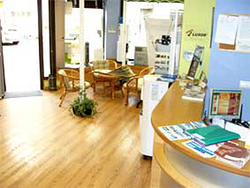 Galería de imágenes