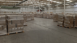 Galería de imágenes