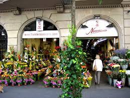 Flores Navarro 3