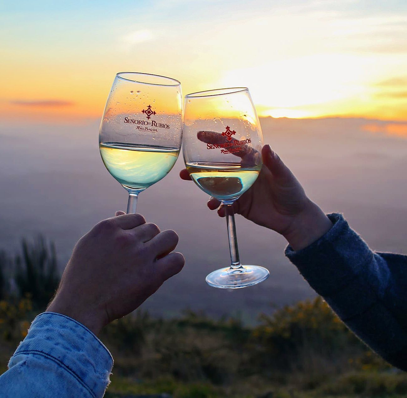 Se&ntilde;or&iacute;o de Rubi&oacute;s BODEGAS: ACONDICIONAMIENTO Y DECORACION