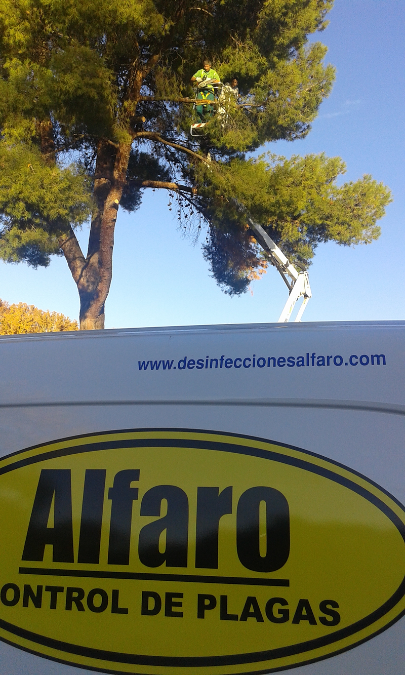Desinfecciones Alfaro Aranjuez