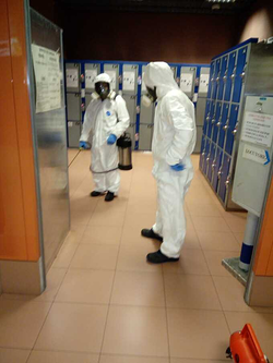 Galería de imágenes