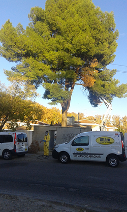 Galería de imágenes