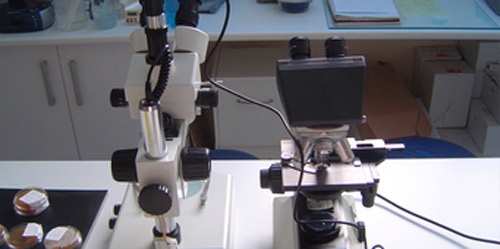 Galería de imágenes