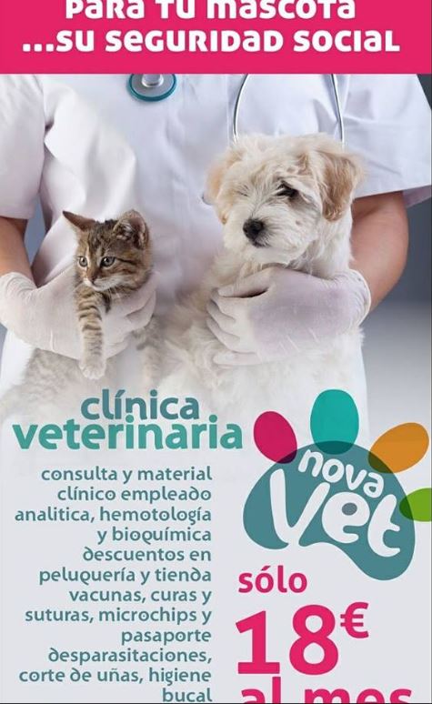 Novavet Cl&iacute;nica Veterinaria 6