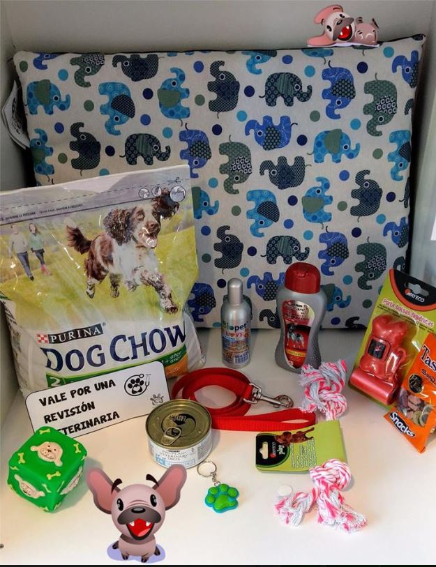 Novavet Cl&iacute;nica Veterinaria 3