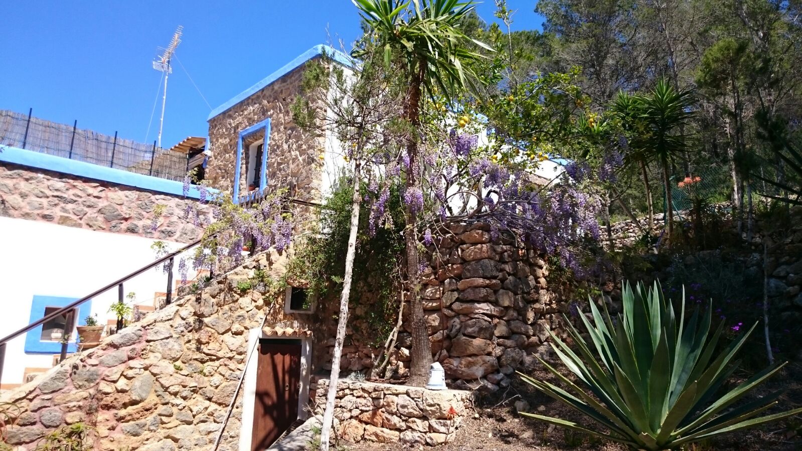 Imagen de Villas Mi Ibiza 'Cas Torrent'