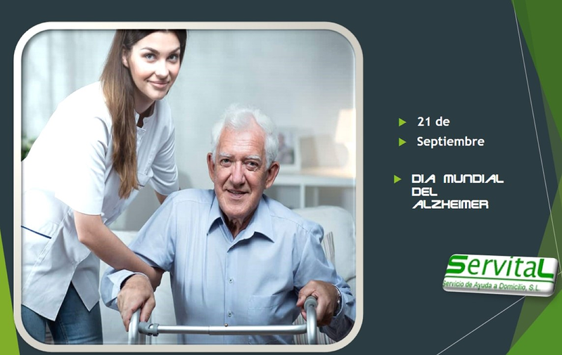 Servicio De Ayuda A Domicilio Servital 14