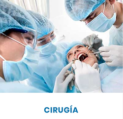 CLÍNICA DENTAL SIGLO XXI 2 CLÍNICA DENTAL SIGLO XXI 2