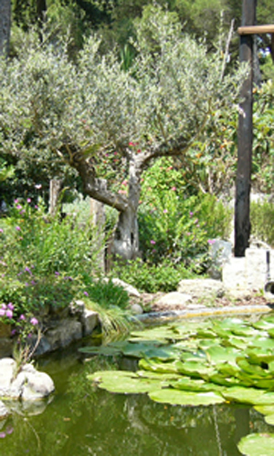 Aquasol Medioambiente S.L. 2