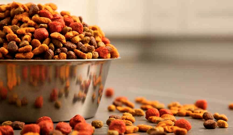 Telepiensos Canarias El Rosario