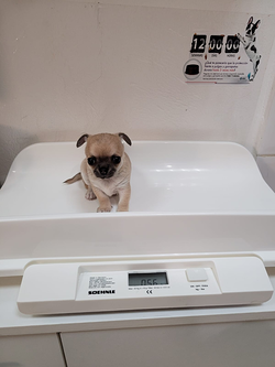 Galería de imágenes