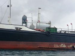 Galería de imágenes