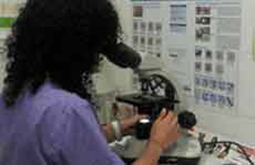 Cl&iacute;nica Veterinaria Kyn&oacute;s CLINICAS VETERINARIAS