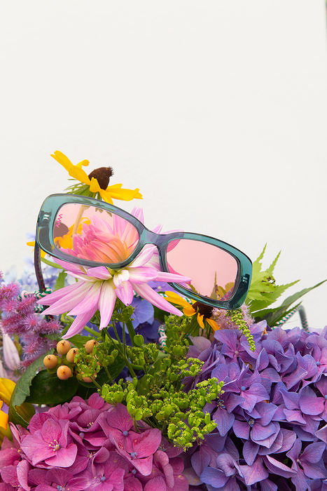 &Oacute;ptica Casamayor 6