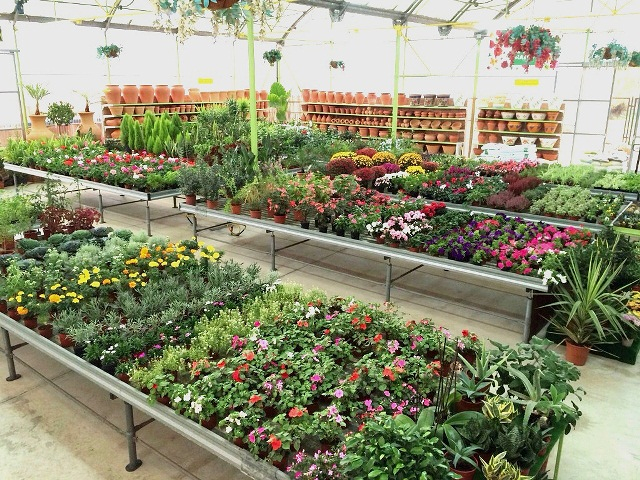 Natura Garden Center 6