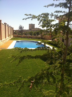 Galería de imágenes