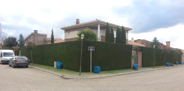 Jardines, Podas y Riegos Patrick 2