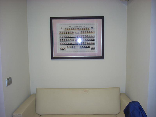 Dra. Amalia González Lleida