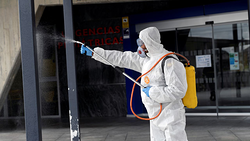 Galería de imágenes