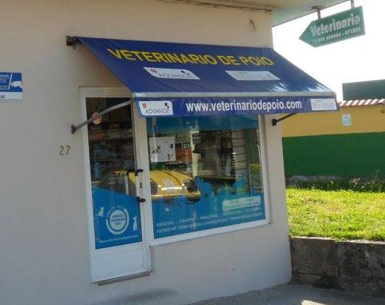 Veterinario De Poio 3