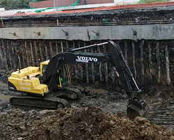 Imagen de Esla Ballonti