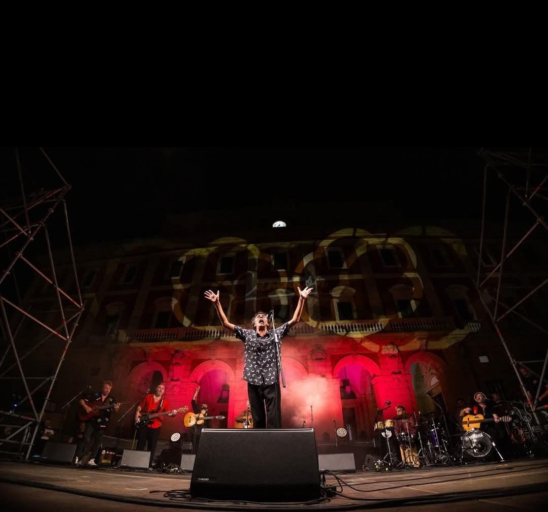 Pegasound Audiovisuales S.L. 13