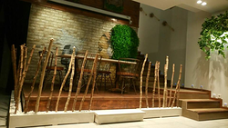 Galería de imágenes