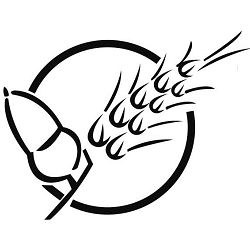 Restaurante PaiPernil