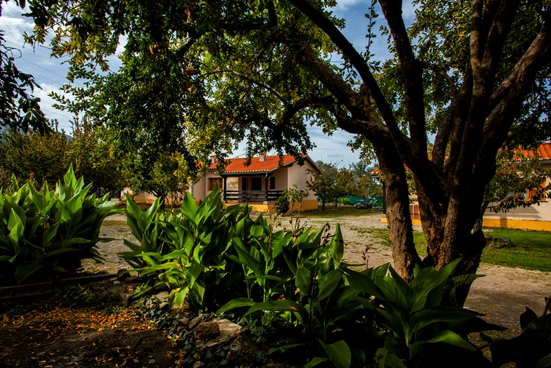 Casa Rural Fuente del Aliso 12