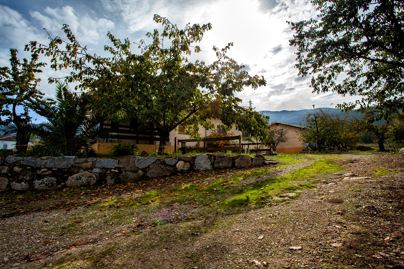 Casa Rural Fuente del Aliso 15