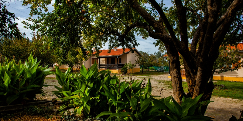 Casa Rural Fuente del Aliso 4