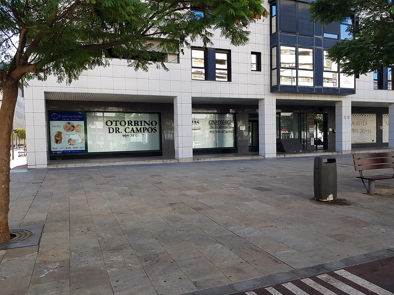 Dr. Miguel Angel Campos del &Aacute;lamo Huelva