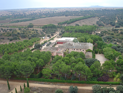 Galería de imágenes