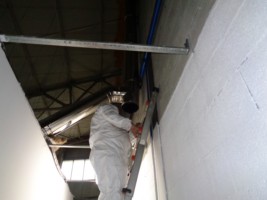 Galería de imágenes