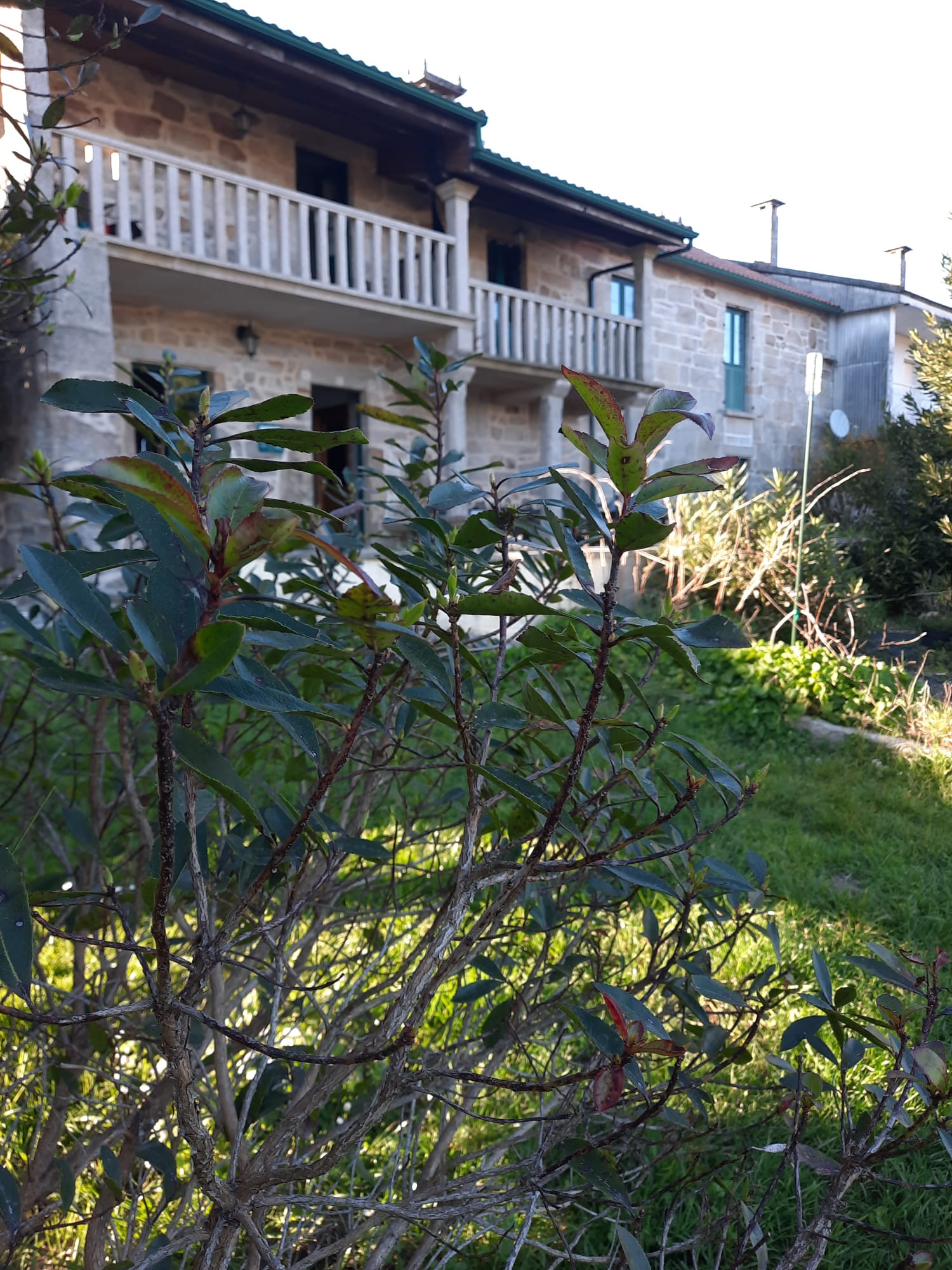 Galería de imágenes