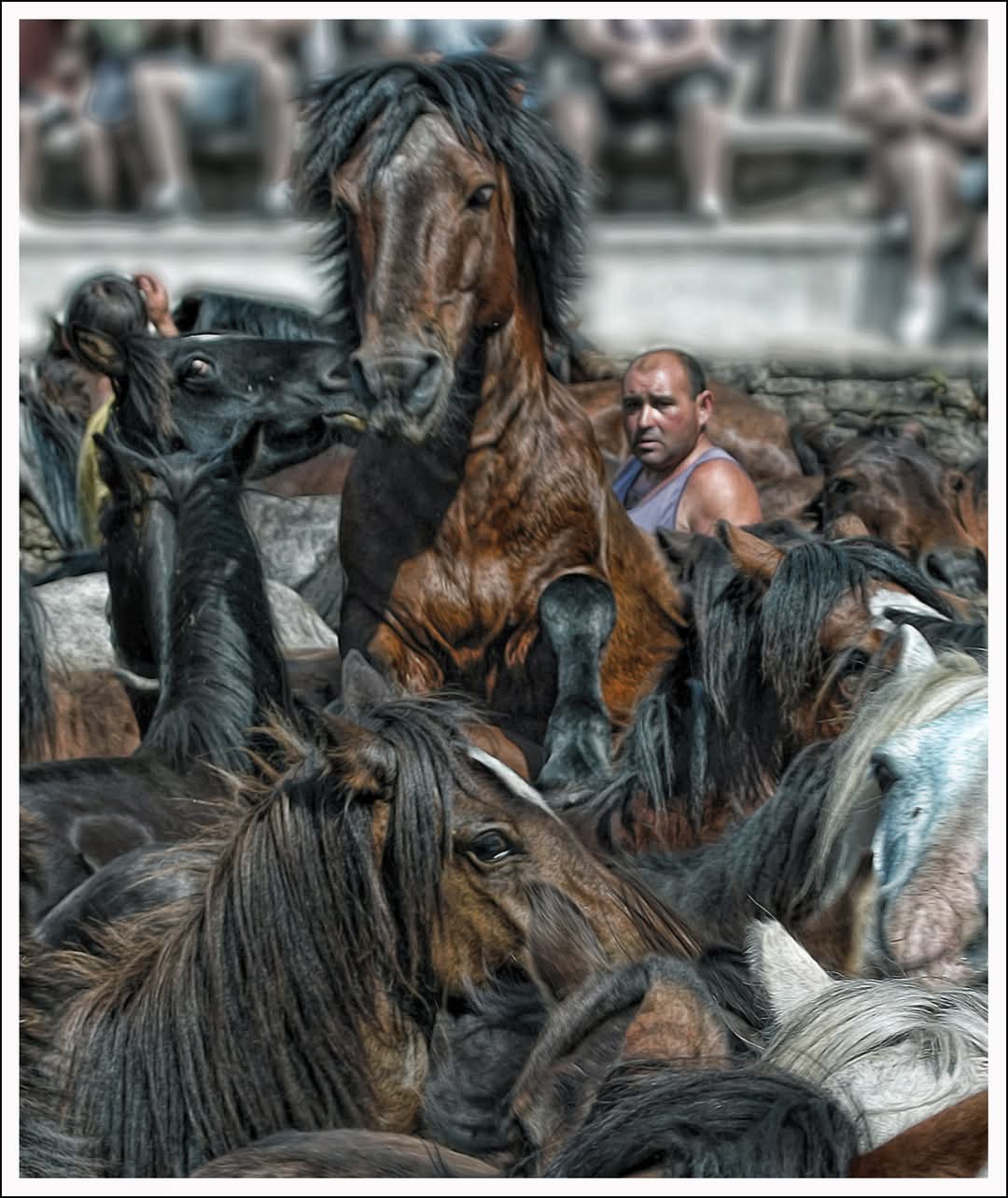 Galería de imágenes