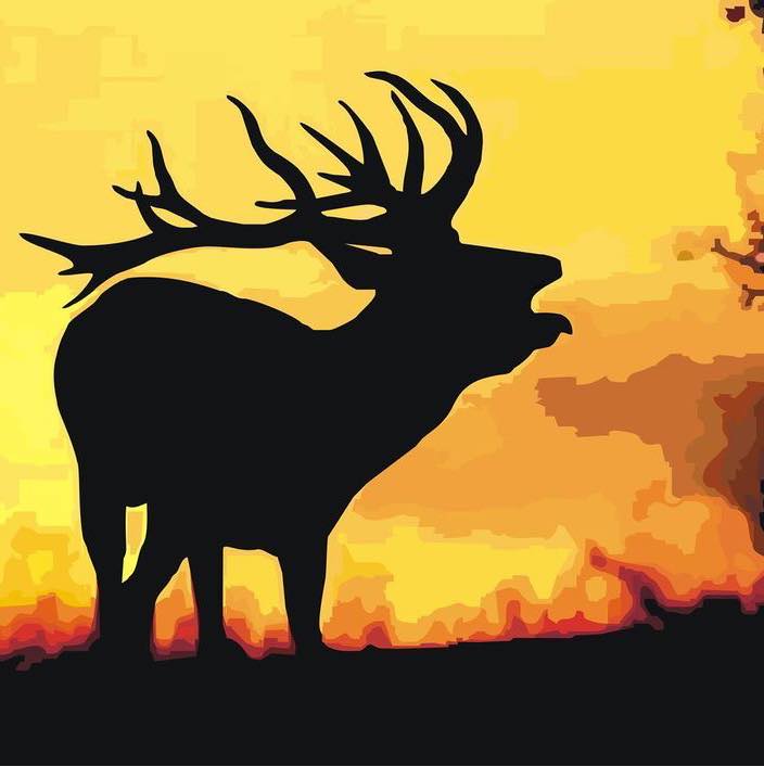 Cañones Wildlife Services