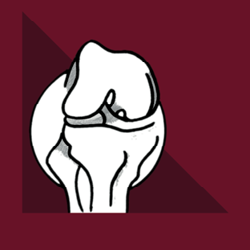 Dr. Emilio Juan Garcia