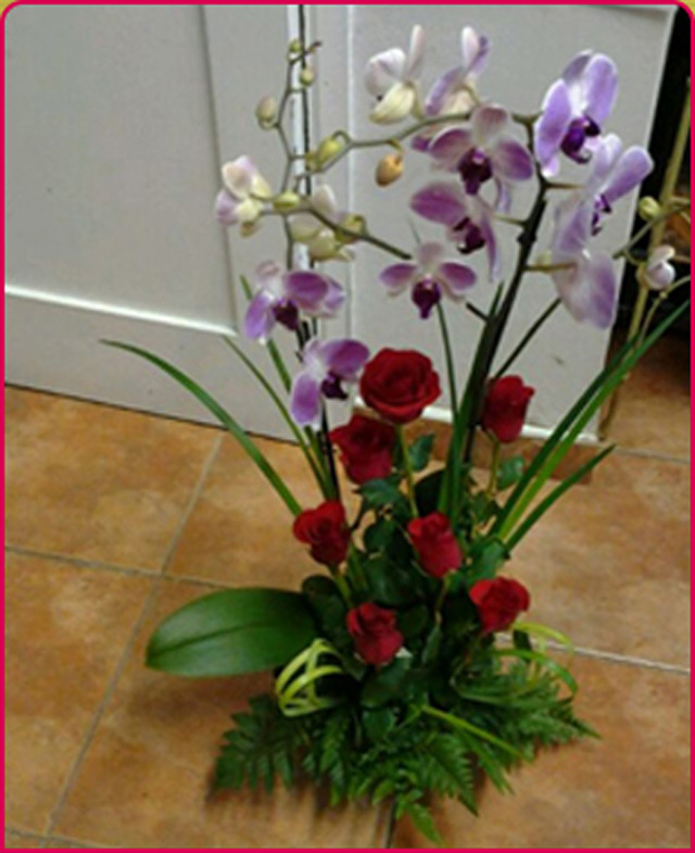 Florister&iacute;a Eggar 2