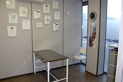 Galería de imágenes