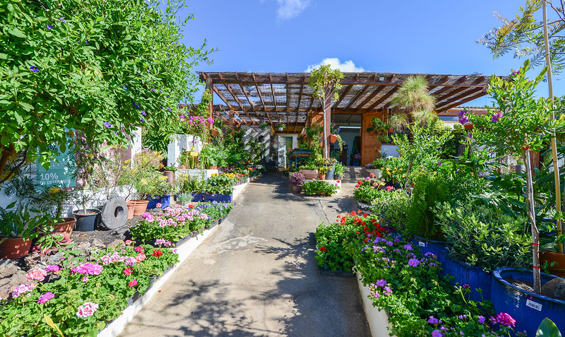 Flower Power Jardines VIVEROS PARA JARDINERIA