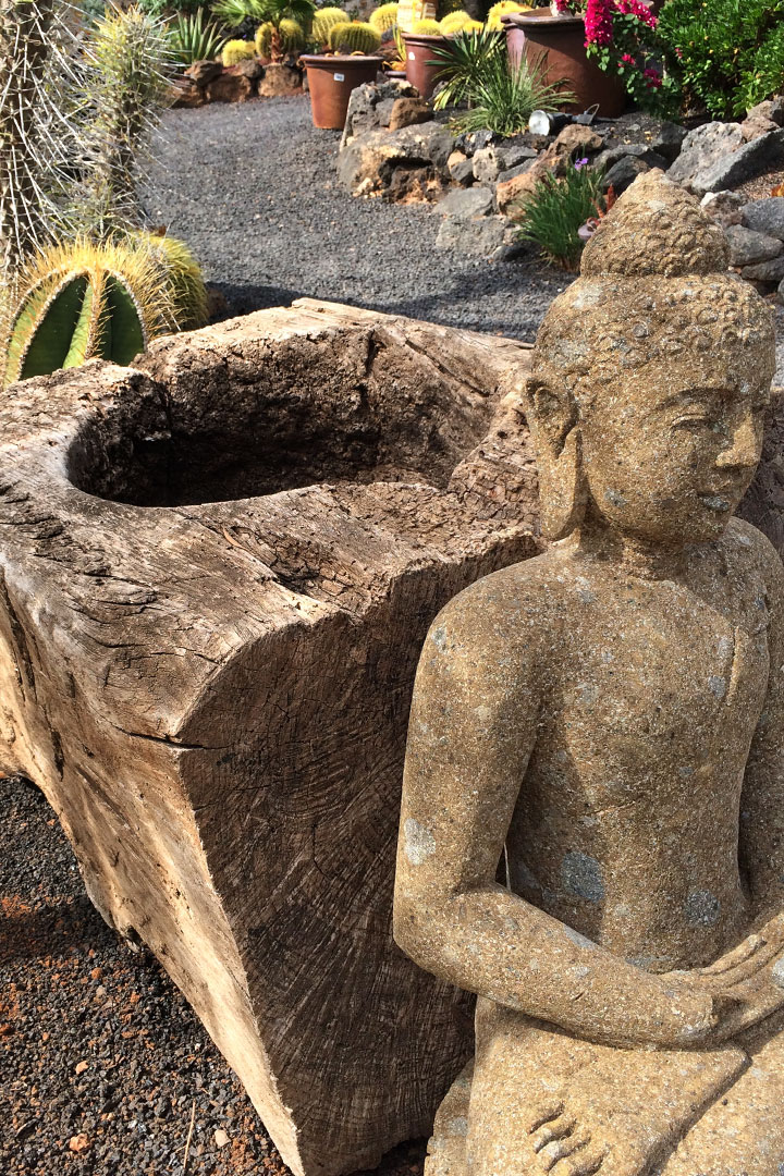 Flower Power Jardines 6