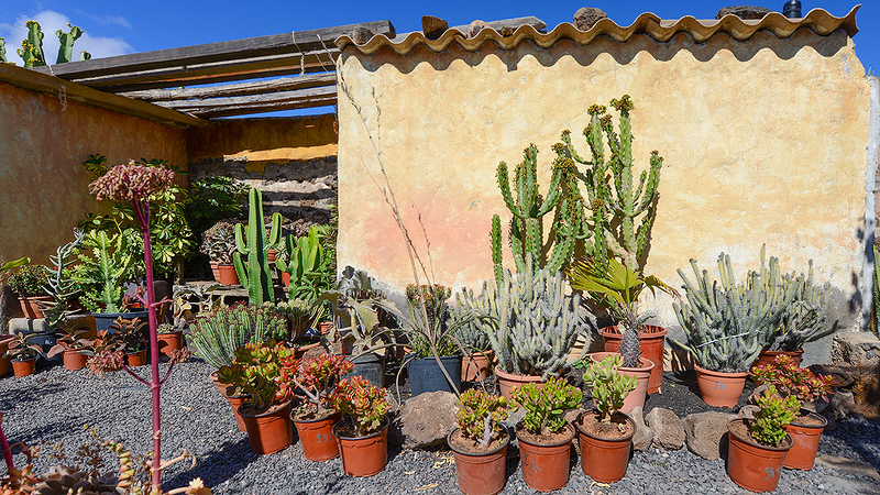 Flower Power Jardines 4