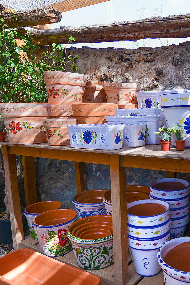 Flower Power Jardines 3