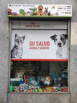 Galería de imágenes